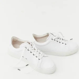 Les baskets