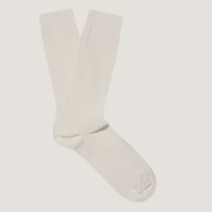 Men's Cotton Ribbed Socks in Archive White